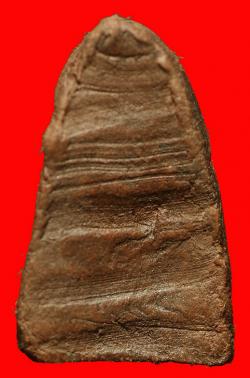 ภาพที่ 2 รูปเหมือเนื้อดินผสมผงหลวงพ่อทาบ วัดกระบกขึ้นผึ้ง จ.ระยอง